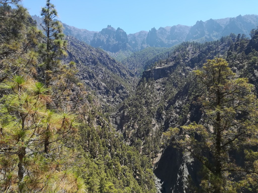 La imagen tiene un atributo ALT vacío; su nombre de archivo es img_20190803_130926.jpg